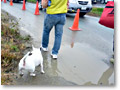 2009-11-23_08-13-02