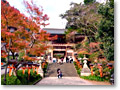 2009-11-21_12-18-02
