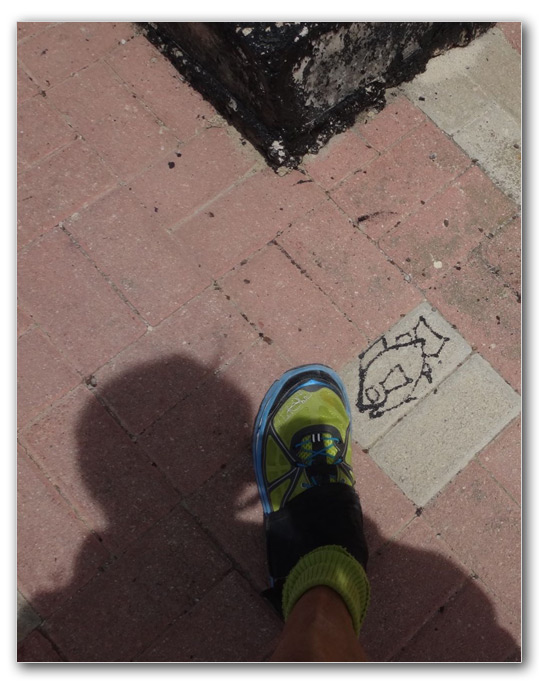 2015-05-02_13-46-22