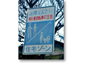 2010-02-07_16-56-57