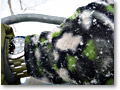 2010-02-05_13-51-15