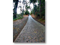 2009-12-12_09-00-40