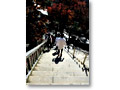 2009-12-12_11-54-02