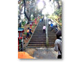 2009-12-12_12-05-47
