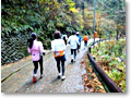 2009-12-12_12-21-39
