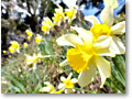 2010-03-29_12-42-40