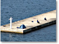 2008-06-17_08-27-05