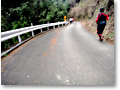 2010-04-04_11-42-31