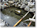 2010-04-04_12-02-12