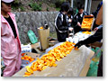 2010-04-04_13-35-40