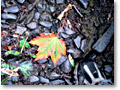 2008-09-01_10-46-18