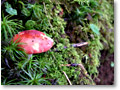 2008-09-01_12-17-32