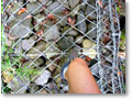 2009-08-30_08-06-14