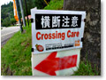 2009-08-29_16-20-57