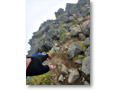 2009-08-30_10-51-42