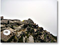 2009-08-30_10-52-14