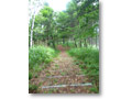 2009-08-30_13-43-51