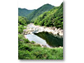 2009-08-31_08-54-36