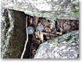 2009-08-31_08-57-55