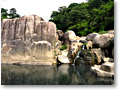 2009-08-31_09-03-16