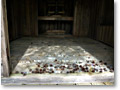 2009-08-31_09-11-10