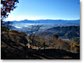 2008-12-07_09-04-24