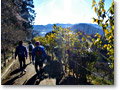 2008-12-07_09-09-38