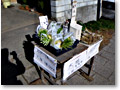 2008-12-07_10-48-14