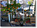 2008-12-07_10-52-30