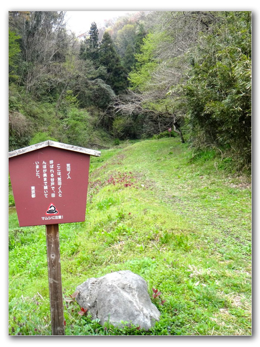 2012-04-22_11-51-06