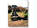 2010-02-20_13-25-33