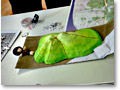 2010-02-20_11-02-41