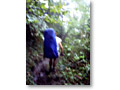 2008-06-29_07-52-58