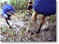 2008-06-29_07-54-16