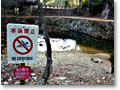 2010-03-14_07-39-25