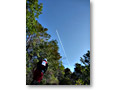 2010-03-14_09-21-15