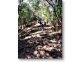 2010-03-14_11-13-49