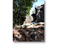 2010-03-14_12-40-48