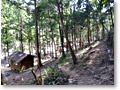 2010-03-14_13-52-06