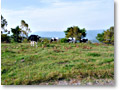 2009-09-27_08-09-35