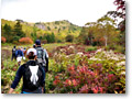 2009-09-27_09-17-23
