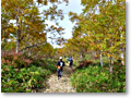 2009-09-27_09-26-45