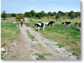 2009-09-27_09-50-29