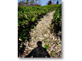 2009-09-27_10-48-22