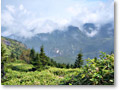 2009-09-27_10-49-41