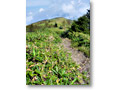 2009-09-27_10-50-04