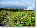 2009-09-27_11-01-32