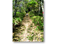 2009-09-27_11-50-43