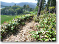 2009-09-27_12-12-01