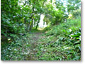 2009-09-27_13-50-16
